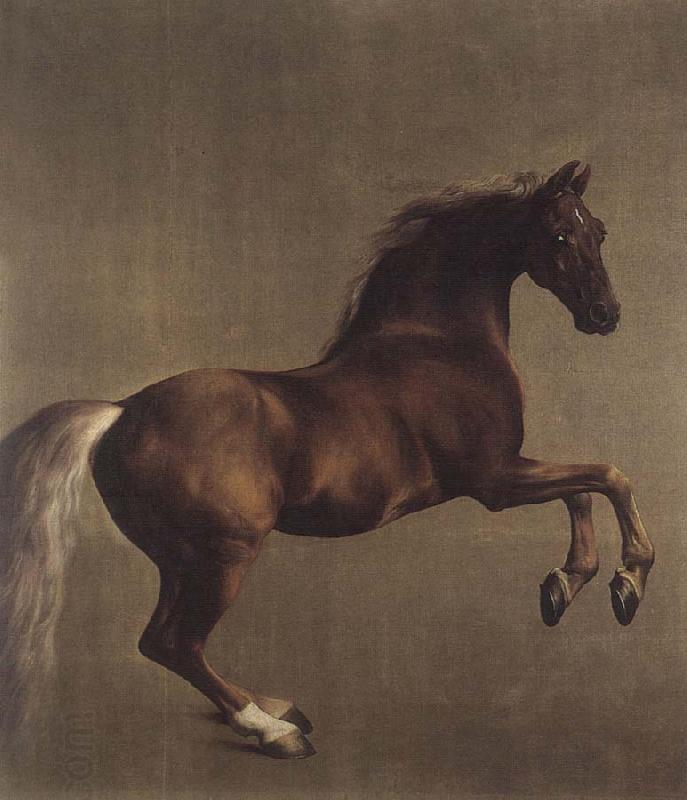 George Stubbs Whistlejacket oil painting picture